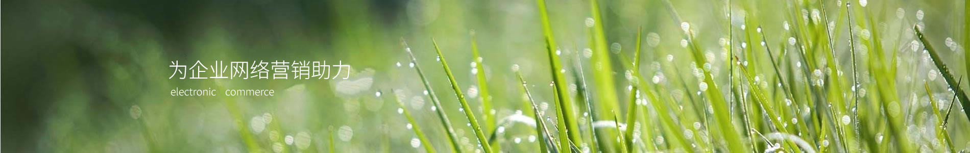 ִũҵƼ޹˾